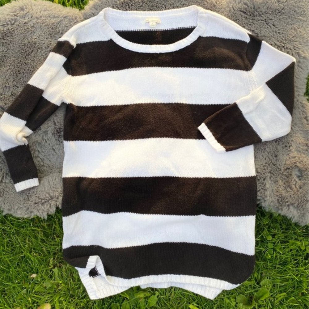 Gap Stripe Sweater